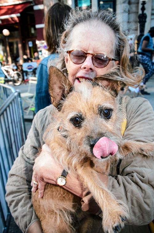 Brooklyn Heights dog fight! Civic association pits pups against one another in Fido pageant