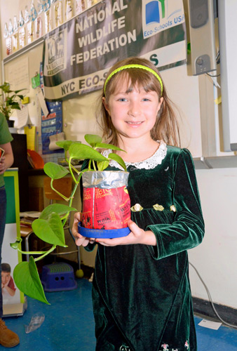 Eco-conscious Carroll Gardens school gets green-thumbs-up