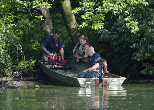 Dog chase prompts island rescue in Prospect Park Lake