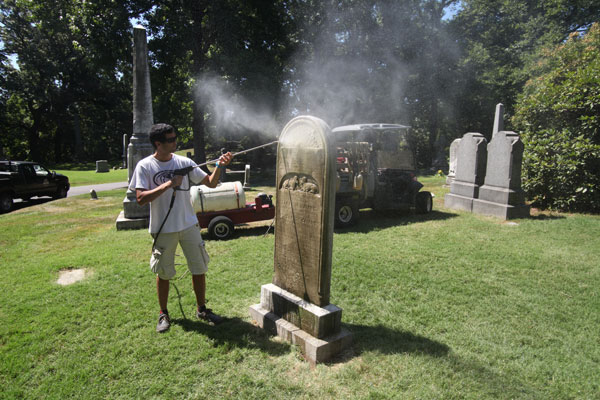 Split wood: Cemetery officials, activists differ on Green-Wood landmarking