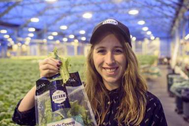 Grow-tesque: Greenhouse on Whole Foods roof rebrands damaged lettuce as ‘ugly greens’