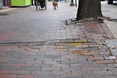 Bad trip: Windsor Terrace residents suffer serious scuffs stumbling on unkempt sidewalk