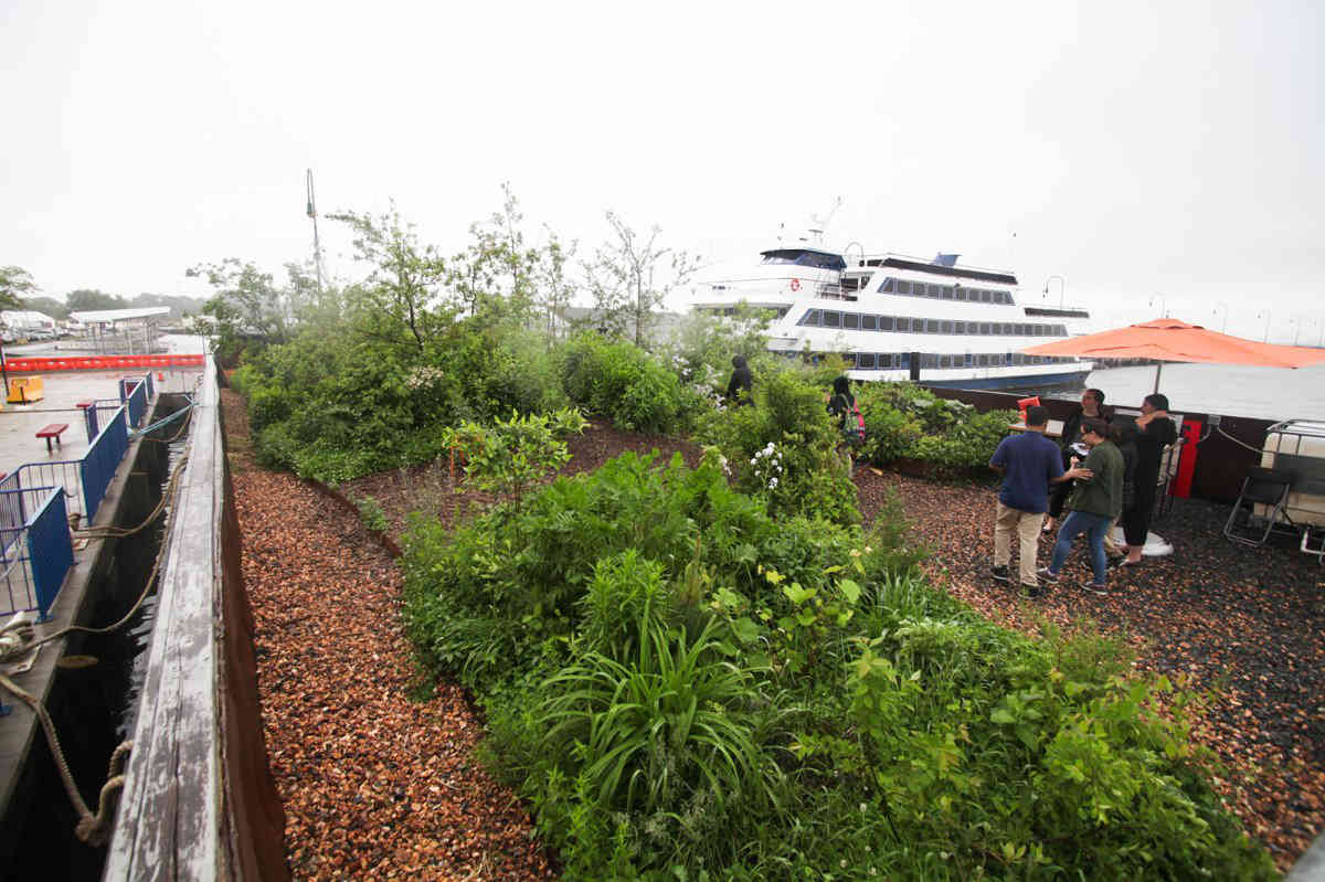 One bountiful barge! S’Park boat offers fruits and veggies — for free — through July 1