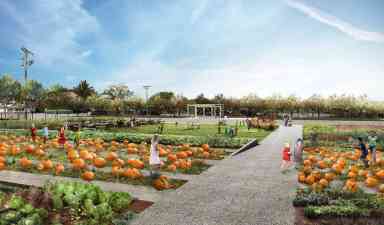 Officials unveil plans for Bergen Beach community farm