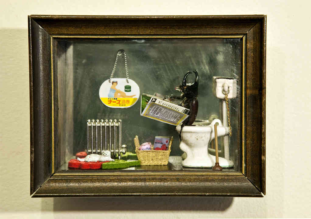 Crafty crawly: Bug expert teaches a class on making dioramas with beetles!