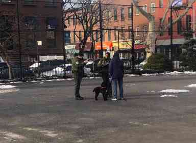 Paws in the air! Dog walkers outraged by Parks Department’s crackdown on off-leash walking in Carroll Park