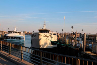 Party pooper: Pol aims to ban booze boats from Sheepshead Bay