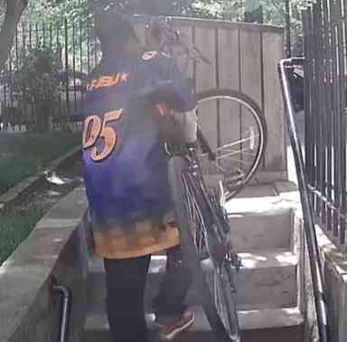 Pedaling perp: Cops hunt burglar who nabbed bike from Crown Heights home