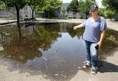 Marine Park is mosquito breeding ground amid West Nile scare