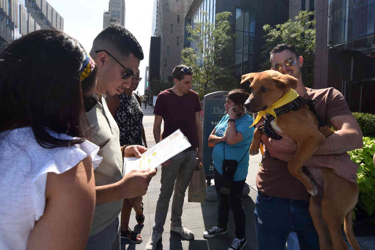 Brooklynites give homes to rescue animals at Fort Greene pet adoption event