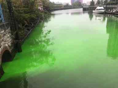 Dye turns Gowanus Canal emerald green