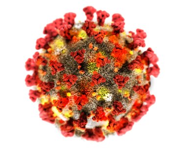 corona virus isolated