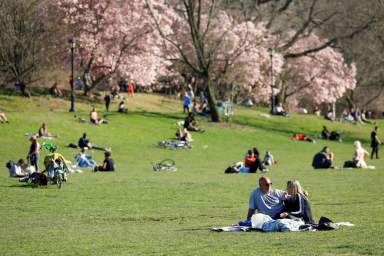 Crowds of people in Prospect Park during the coronavirus disease (COVID-19) outbreak in Brooklyn, New York