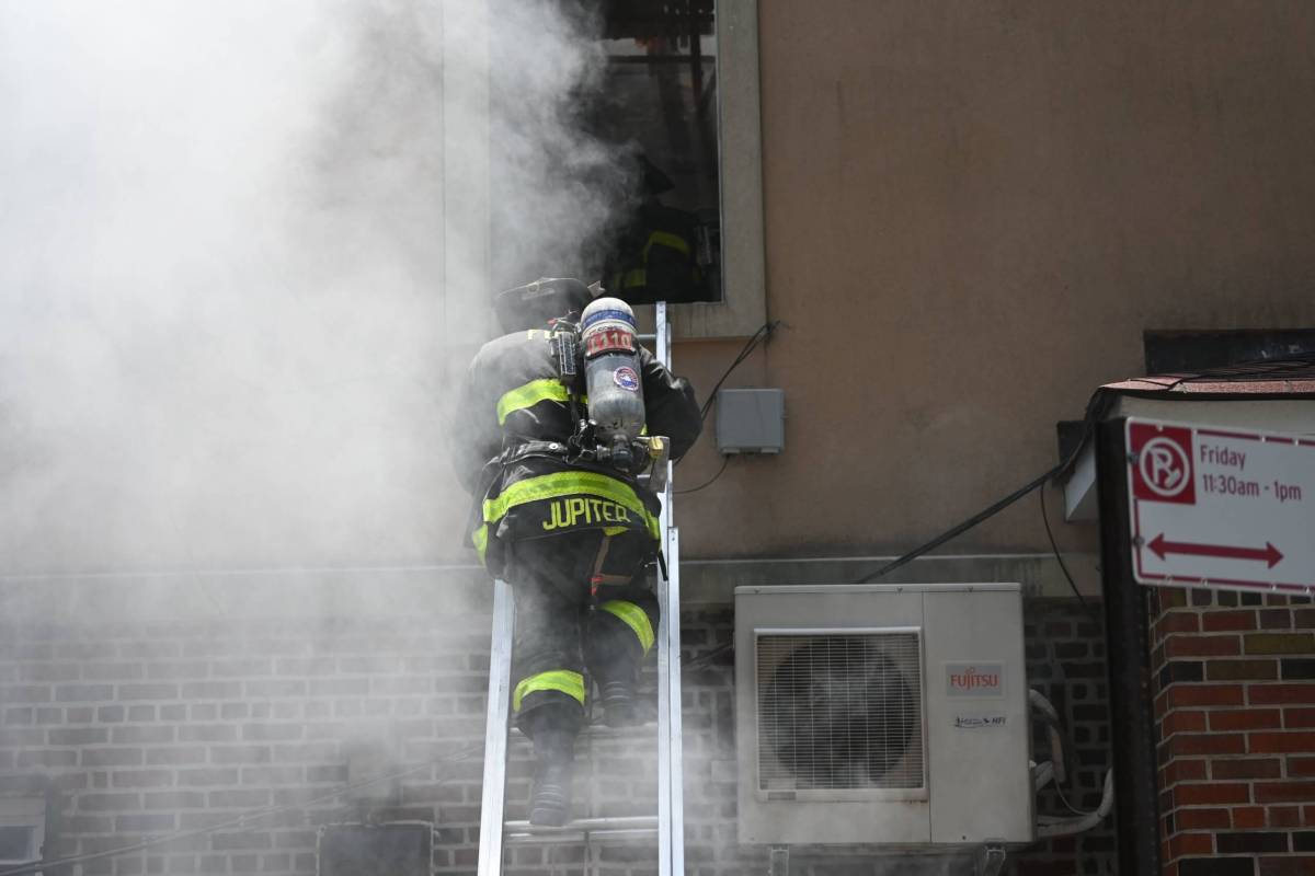 Firefighter on ladder