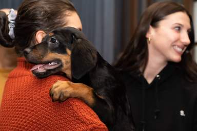 dog being held rescue city event