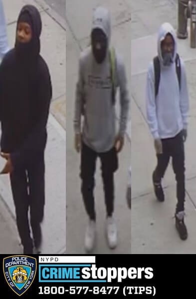 picture of williamsburg burglars