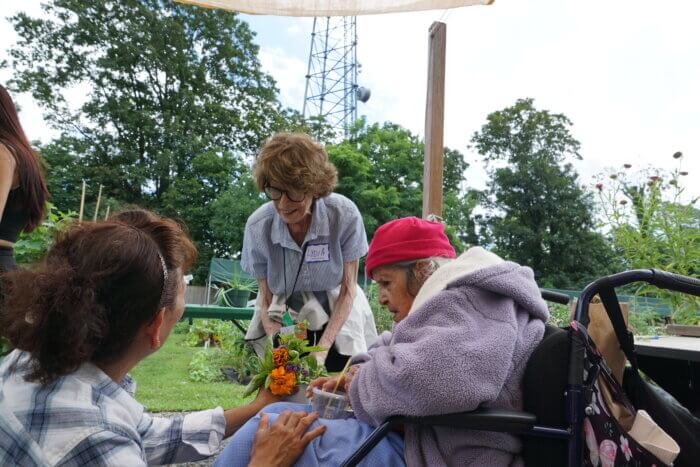 Brooklyn Botanic Garden memory loss volunteer