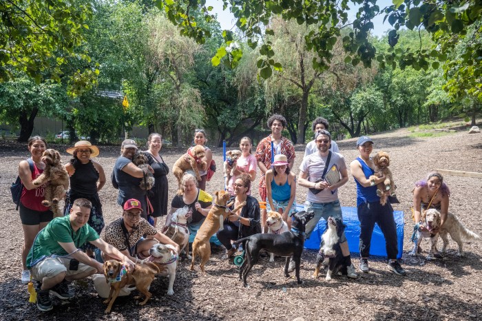 NY: Inaugural Pup-lympics at Hillside Dog Park